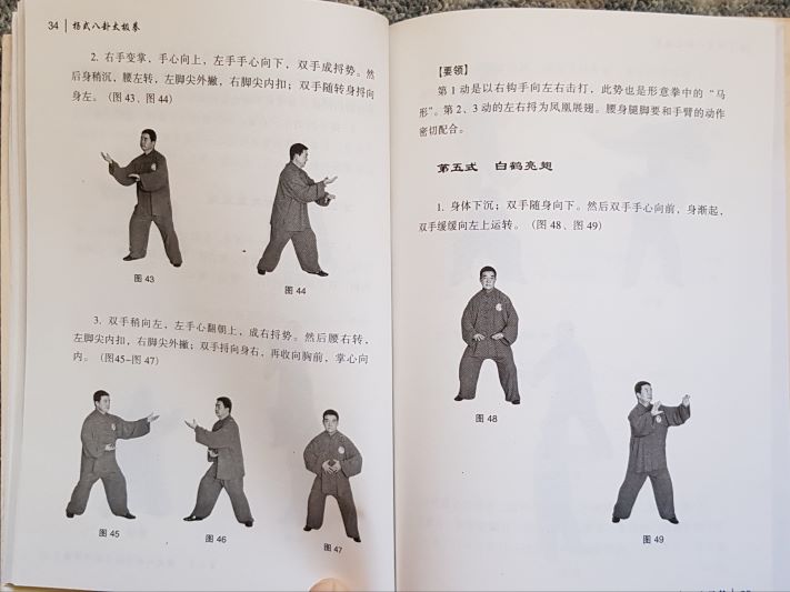 Buchseite Yang Stil-Bagua Taijiquan
